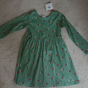 NWOT Hanna Andersson Green Dress with Red Apple Print